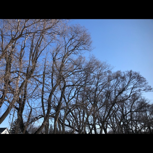 Meet your Posher, Clelia - Picture 1 of 1